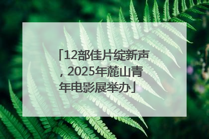 12部佳片绽新声，2025年麓山青年电影展举办