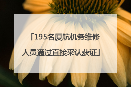 195名厦航机务维修人员通过直接采认获证