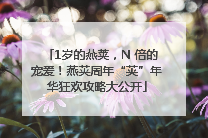 1岁的燕荚，N 倍的宠爱！燕荚周年“荚”年华狂欢攻略大公开