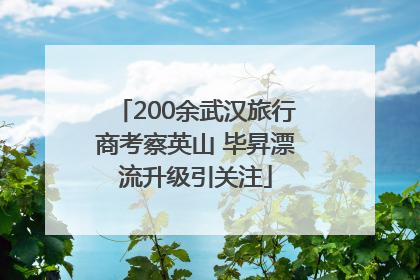 200余武汉旅行商考察英山 毕昇漂流升级引关注