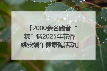 2000余名跑者“粽”情2025年花香姚安端午健康跑活动