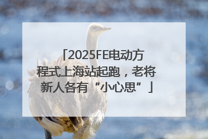 2025FE电动方程式上海站起跑，老将新人各有“小心思”