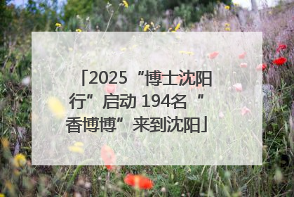 2025“博士沈阳行”启动 194名“香博博”来到沈阳