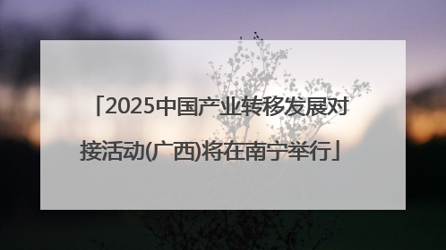 2025中国产业转移发展对接活动(广西)将在南宁举行