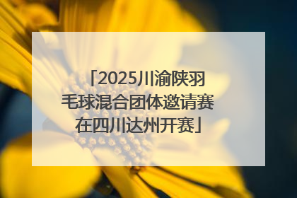 2025川渝陕羽毛球混合团体邀请赛在四川达州开赛