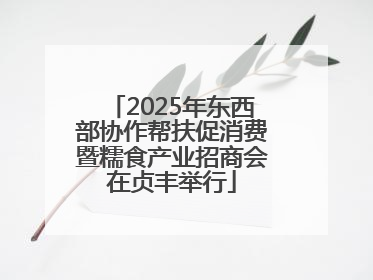 2025年东西部协作帮扶促消费暨糯食产业招商会在贞丰举行