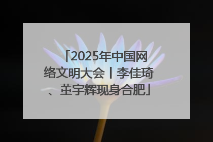 2025年中国网络文明大会丨李佳琦、董宇辉现身合肥