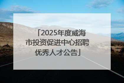 2025年度威海市投资促进中心招聘优秀人才公告