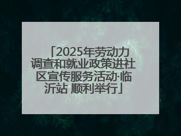 2025年劳动力调查和就业政策进社区宣传服务活动·临沂站 顺利举行