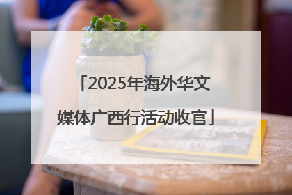 2025年海外华文媒体广西行活动收官