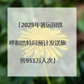 2025年暑运国铁呼和浩特局预计发送旅客951万人次