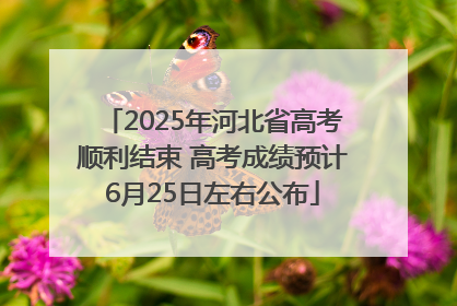 2025年河北省高考顺利结束 高考成绩预计6月25日左右公布