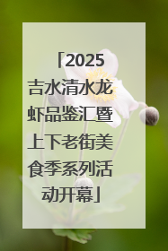 2025吉水清水龙虾品鉴汇暨上下老街美食季系列活动开幕