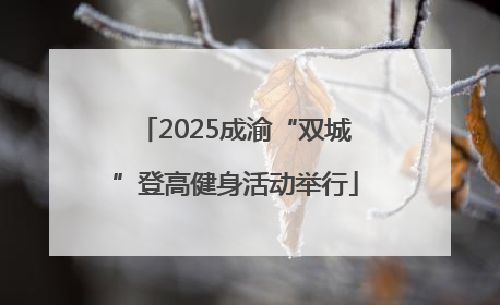 2025成渝“双城”登高健身活动举行