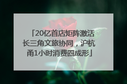 20亿首店矩阵激活长三角文旅协同，沪杭甬1小时消费圈成形