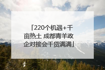 220个机遇+千亩热土 成都青羊政企对接会干货满满