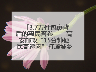 3.7万件包裹背后的惠民答卷——高安邮政“15分钟便民寄递圈”打通城乡服务末梢