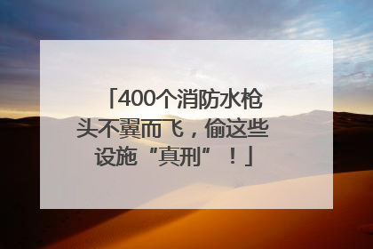 400个消防水枪头不翼而飞，偷这些设施“真刑”！