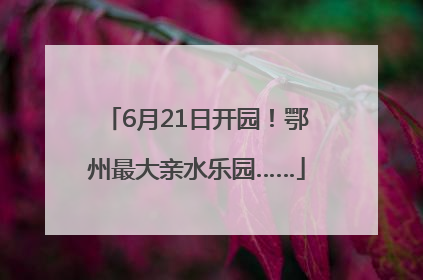 6月21日开园！鄂州最大亲水乐园……
