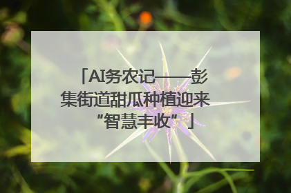 AI务农记——彭集街道甜瓜种植迎来“智慧丰收”