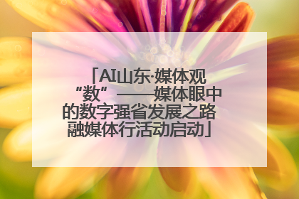 AI山东·媒体观“数”——媒体眼中的数字强省发展之路融媒体行活动启动