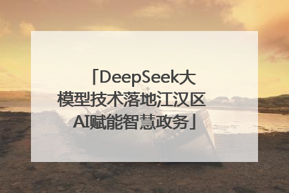 DeepSeek大模型技术落地江汉区 AI赋能智慧政务