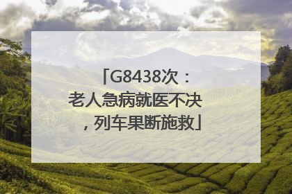 G8438次：老人急病就医不决，列车果断施救
